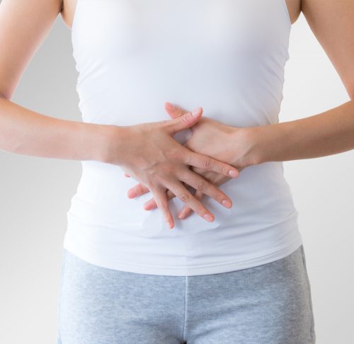 Microbioma Intestinal Básico