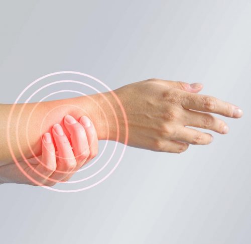 Estudio de la osteoporosis