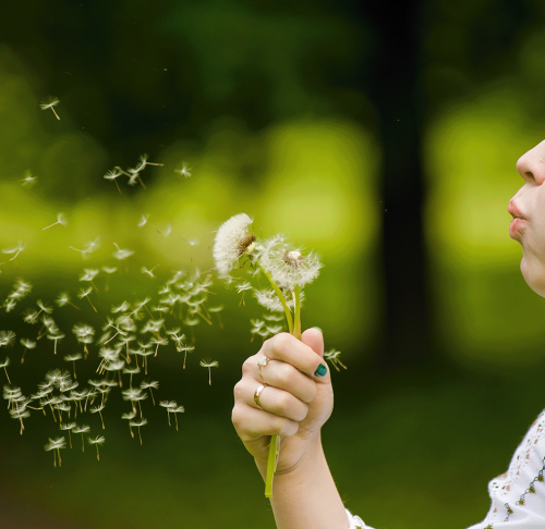 Test Alex2: diagnóstico de alérgenos