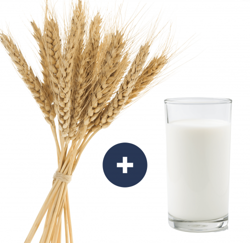 Estudio genético de intolerancia al gluten y a la lactosa