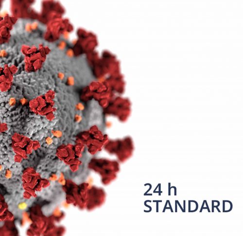 PCR Standard (24 horas)