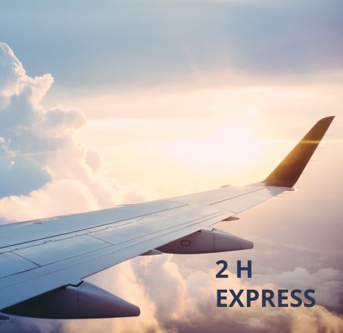 PCR Express (2 horas)